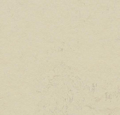 Линолеум Forbo Marmoleum Decibel on Order 370135 moon фото 1 | FLOORDEALER